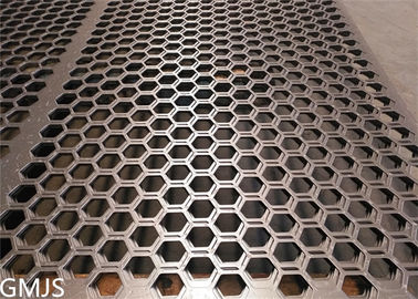 Chine Feuillard perforé de solides solubles pour le plat de doublure d'écran de dispositif trembleur avec le trou hexagonal fournisseur